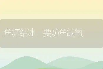 鱼塘结冰要防鱼缺氧