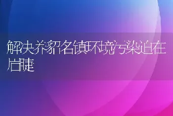 解决养貂名镇环境污染迫在眉睫