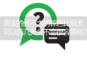 淘宝的长不大的棕色比熊犬可以养几天会不会很容易死？