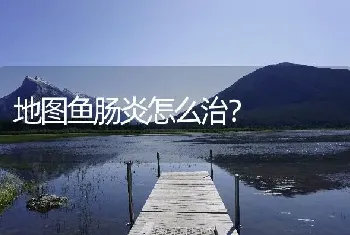 地图鱼肠炎怎么治？