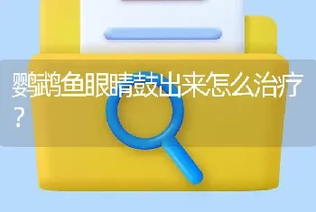 鹦鹉鱼眼睛鼓出来怎么治疗？