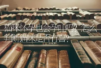 两个月大的布偶会自己吃东西嘛？