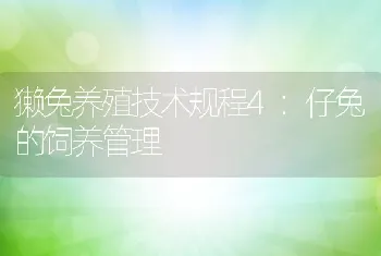 獭兔养殖技术规程4：仔兔的饲养管理