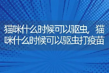 猫咪什么时候可以驱虫，猫咪什么时候可以驱虫打疫苗