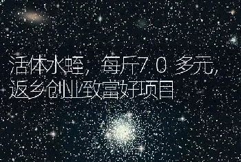 活体水蛭，每斤70多元，返乡创业致富好项目