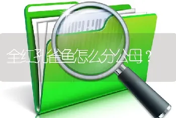 全红孔雀鱼怎么分公母？