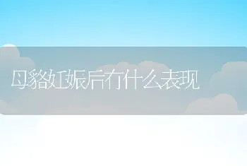 母貉妊娠后有什么表现