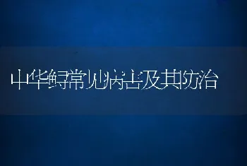 梭子蟹寄生虫病的防治对策