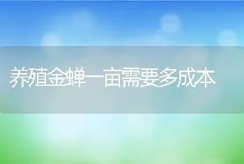 养殖金蝉一亩需要多成本