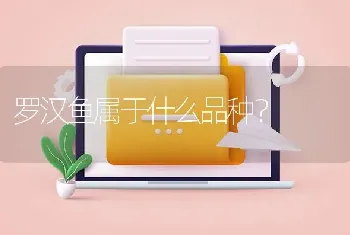 罗汉鱼属于什么品种？