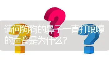 请问狗狗的鼻子一直打喷嚏的声音是为什么？