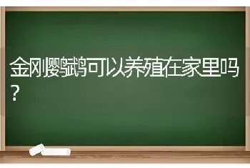 金刚鹦鹉可以养殖在家里吗？