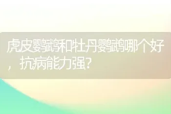 虎皮鹦鹉和牡丹鹦鹉哪个好，抗病能力强？