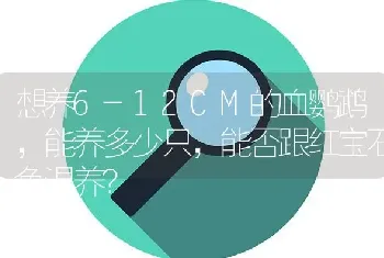 想养6-12CM的血鹦鹉，能养多少只，能否跟红宝石鱼混养？