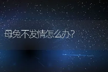 母兔不发情怎么办？