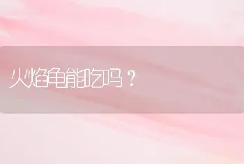 两个月的金毛幼犬头是什么样的？