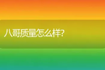 八哥质量怎么样？