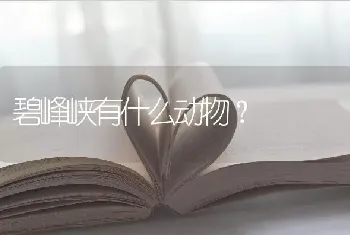 碧峰峡有什么动物？