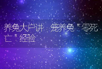 养兔大户讲笼养兔零死亡经验