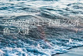 水产养殖贴士：春夏之交养鱼三关键