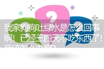 我家狗狗吐绿水是怎么回事啊！已经三四天不吃东西了！我该怎么办啊？