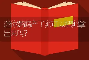 迷你鹦鹉产了卵可以把卵拿出来吗？