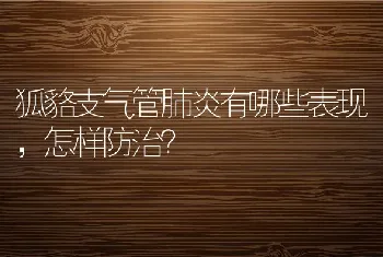 狐貉支气管肺炎有哪些表现，怎样防治？