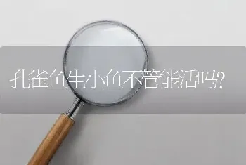 孔雀鱼生小鱼不管能活吗？