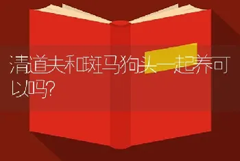 清道夫和斑马狗头一起养可以吗？