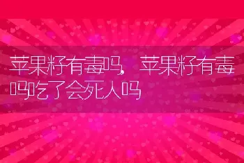 苹果籽有毒吗，苹果籽有毒吗吃了会死人吗