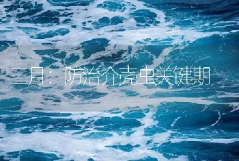 三月：防治介壳虫关键期