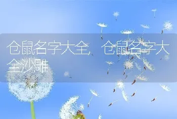 仓鼠名字大全，仓鼠名字大全沙雕