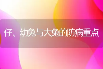 仔、幼兔与大兔的防病重点