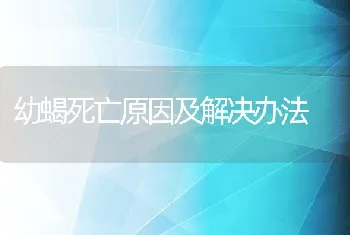 把鸡粪制成鱼饲料