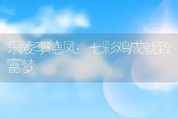 乐陵李德凤：七彩鸡成就致富梦