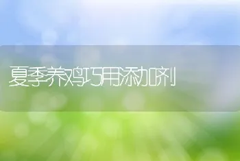 夏季养鸡巧用添加剂