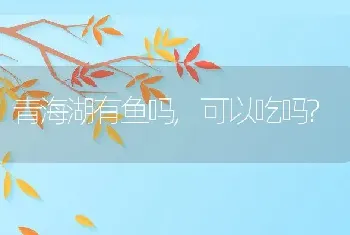 狗狗名字大全，狗狗名字大全 洋气点的