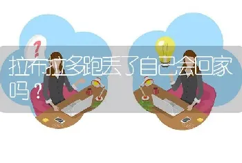 拉布拉多跑丢了自己会回家吗？