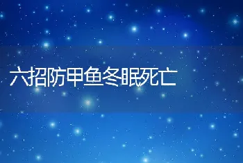 六招防甲鱼冬眠死亡