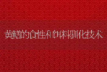 黄鳝的食性和饵料驯化技术