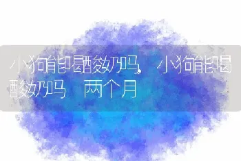 小狗能喝酸奶吗，小狗能喝酸奶吗 两个月