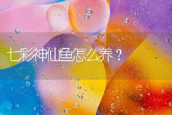 七彩神仙鱼怎么养？