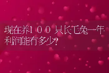 现在养100只长毛兔一年利润能有多少？