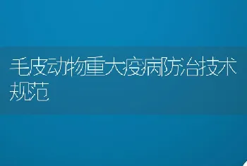 春季草鱼注射疫苗