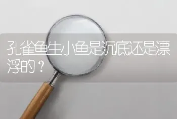 孔雀鱼生小鱼是沉底还是漂浮的？