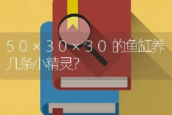 50×30×30的鱼缸养几条小精灵？