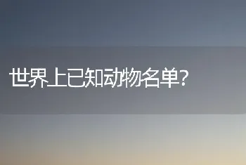 美短起司什么意思？