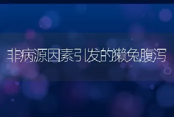 非病源因素引发的獭兔腹泻