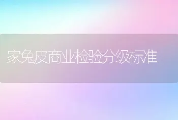 家兔皮商业检验分级标准