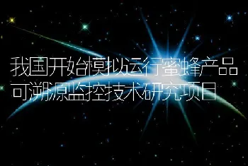 我国开始模拟运行蜜蜂产品可溯源监控技术研究项目